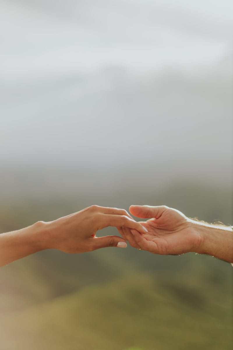 A serene moment captured as two hands reach out against a soft, blurred background.